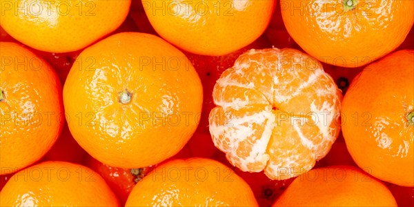 Tangerine Clementine Fruit Tangerine Clementine Fruit from above Panorama