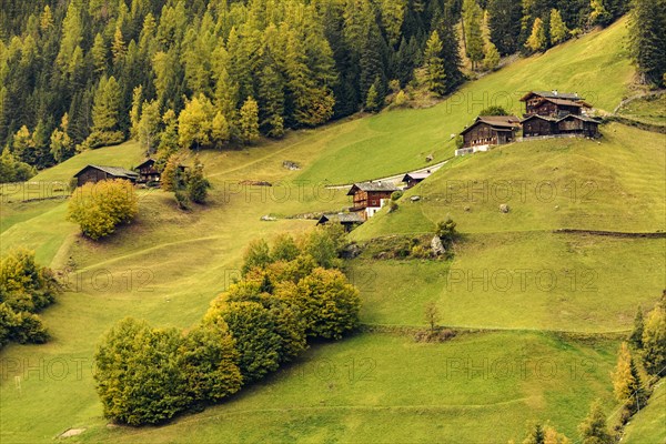 Old farms on mountain meadow