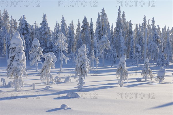 Snow covered landscape in winter