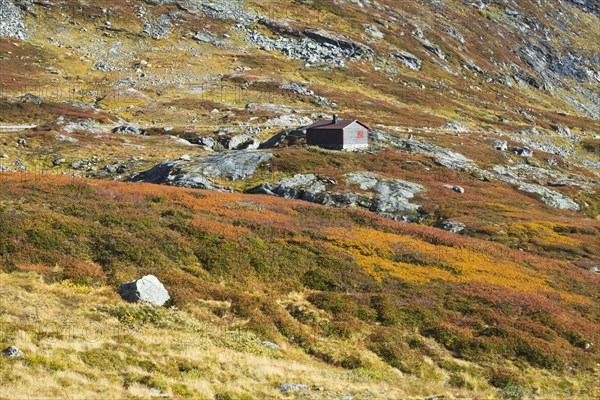 Cabins in the Fjell