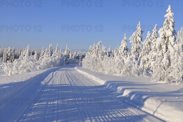 Snow covered road in winter