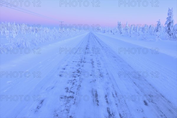 Road in winter