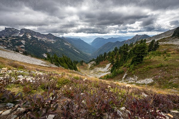 View into the valley of Butter Creek