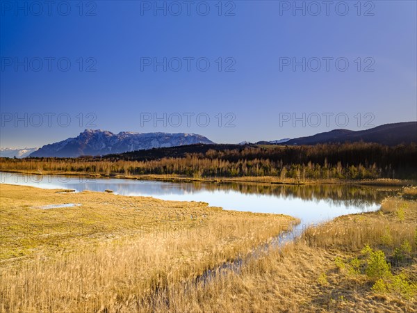 Moor lake in the Ainringer Moor