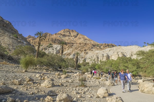 Hikers in Wadi David