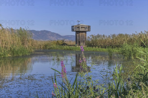 Observation tower