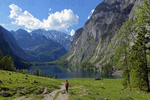 Hiker on the way to the Fischunkelalm at the Obersee