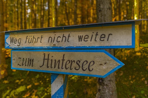 Signpost