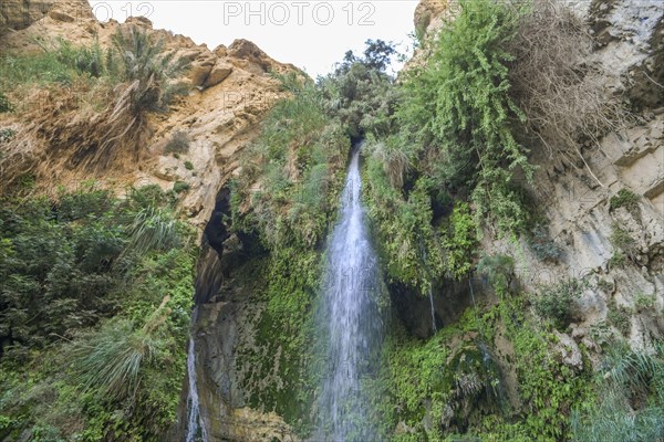 David's Waterfall