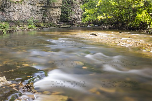 Flowing water of the Wutach