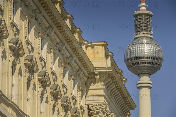 South facade Humboldt Forum