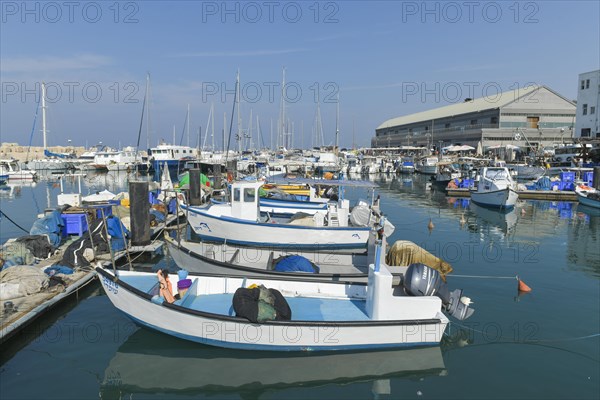 Fishing boats