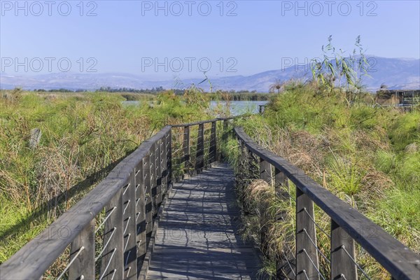 Boardwalks for bird watching