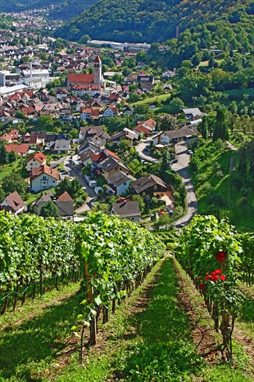 View of Obertsrot and the Sacred Heart Church from the Eberstein Castle Winery