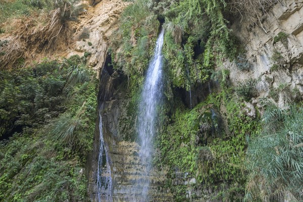 David's Waterfall