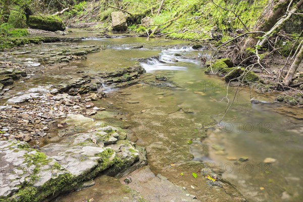 Hiking trail over shell limestone banks on the Gauchach