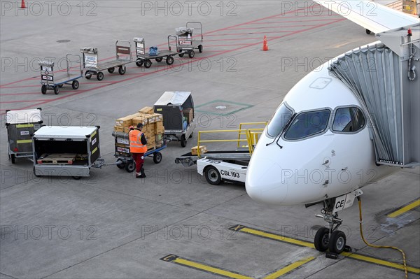 Cargo Baggage Ground Staff