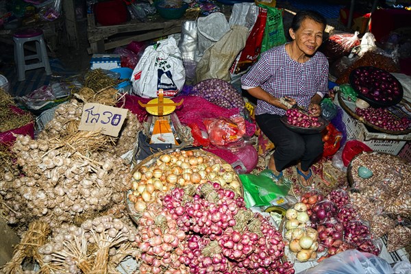 Woman selling onions and garlic at a market