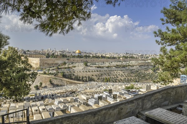 City panorama