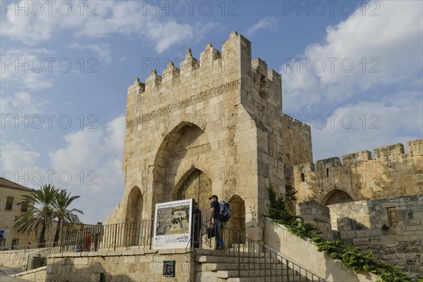 David's Citadel