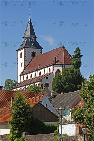 Church of Our Dear Lady Catholic Church