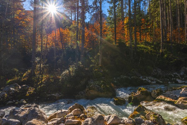 Autumn atmosphere in the magic forest