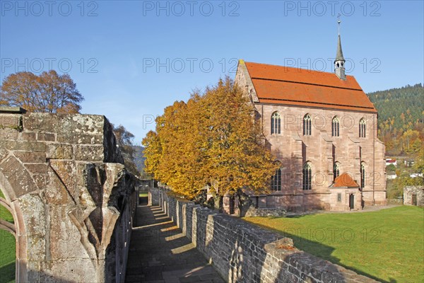 Hirsau Monastery Ruins