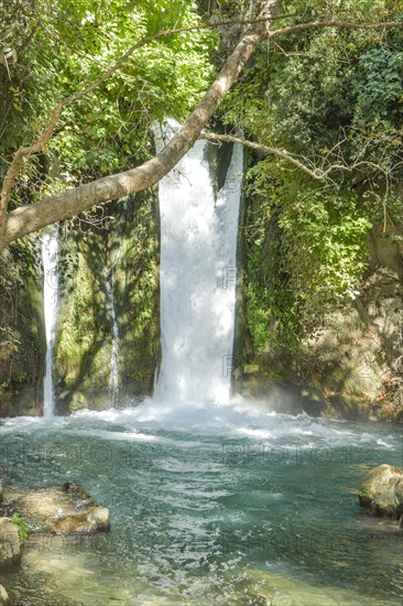 Bach Hermon with Banias Fall