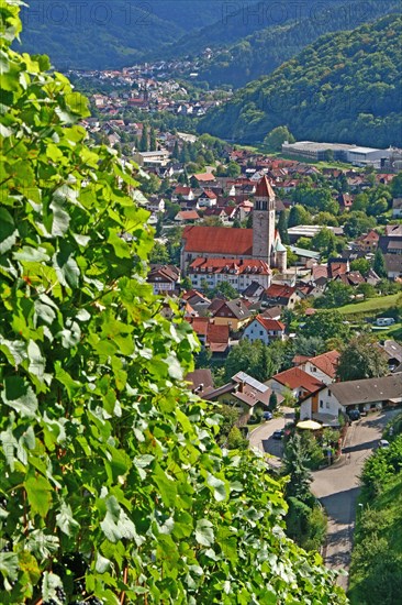 View of Obertsrot and the Sacred Heart Church from the Eberstein Castle Winery
