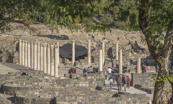 Palladius Street