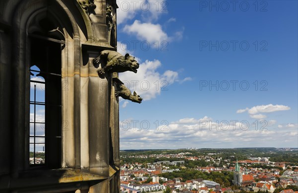 Ulm Cathedral