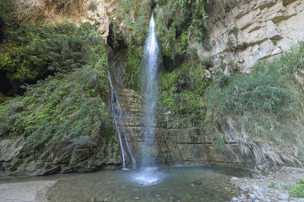 David's Waterfall