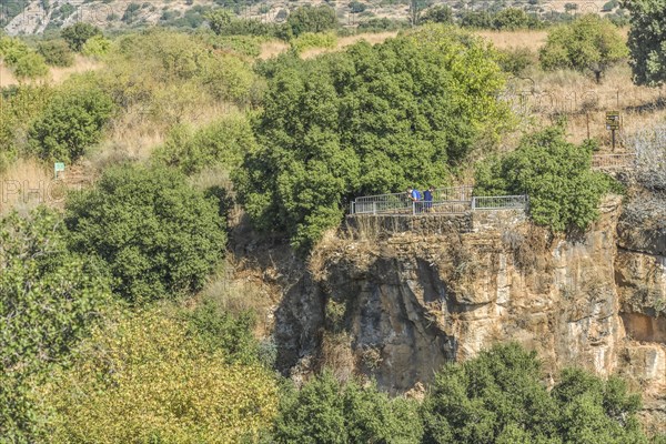 Viewpoint at Banias Fall