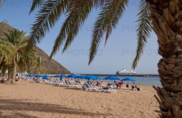 Palm trees and holidaymakers on the beach Playa de Las Teresitas