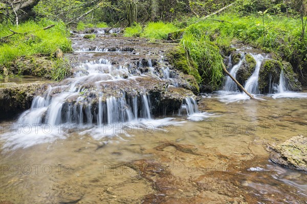 Small waterfall over shell limestone banks at the inflow of the Balgenbaechle into the Gauchach