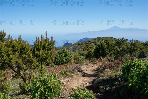 Hiking trail to the summit of Alto de Garajonay