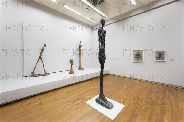 Sculptures in an Exhibition