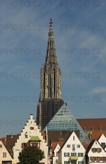 Ulm Cathedral