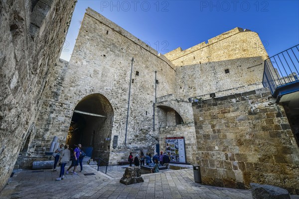 Crusader Fortress