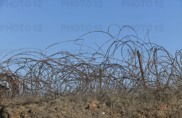 Barbed wire