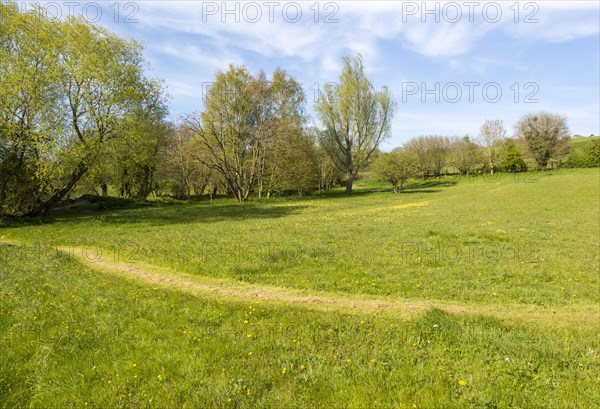 Mown path in grass meadow in large country garden
