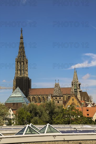 Ulm Cathedral