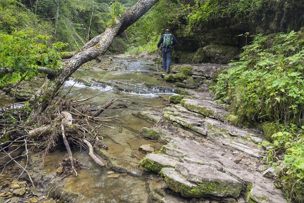 Hikers on the trail over shell limestone banks on the Gauchach