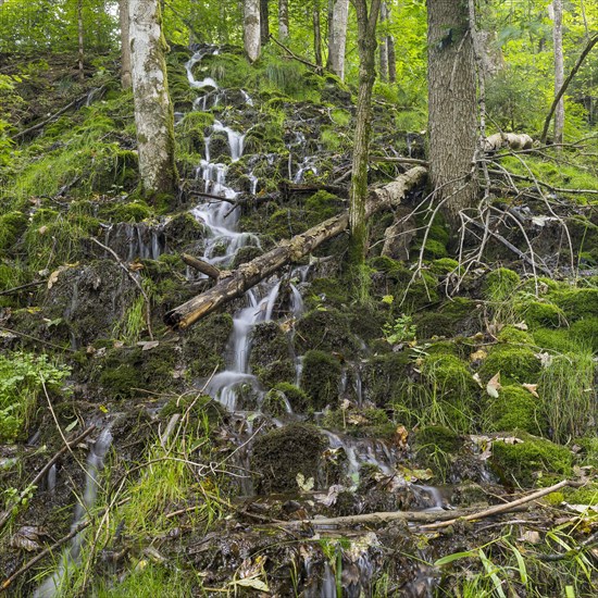 Small waterfalls on a wooded slope of the Wutach near the Schattenmuehle