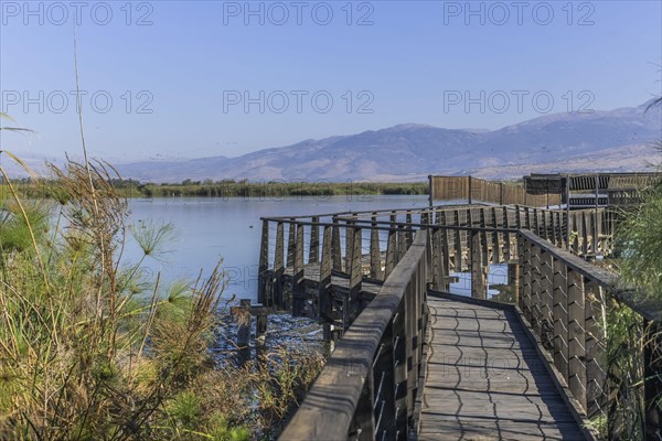 Boardwalks for bird watching