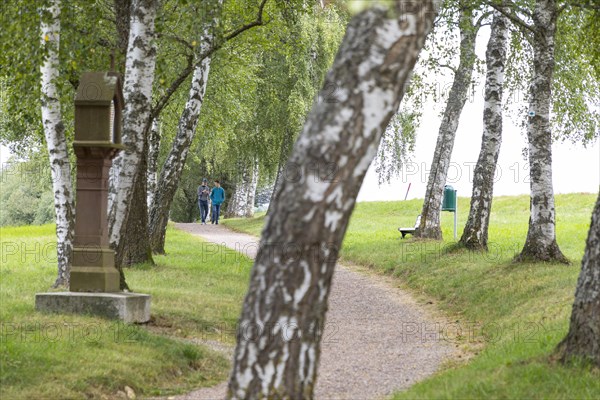 Birch avenue as a crossroads in Loeffingen