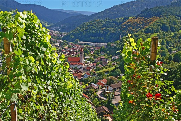 View of Obertsrot and the Sacred Heart Church from the Eberstein Castle Winery