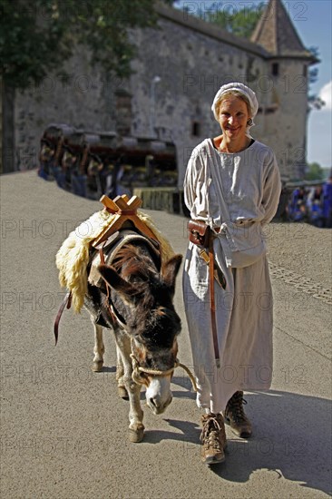 Donkey driver