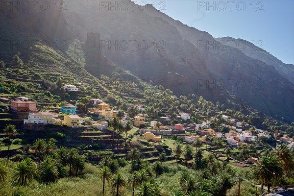 Upper valley of Valle Gran Rey