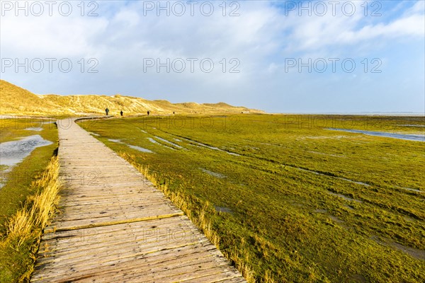 Boardwalk to Amrum Odde